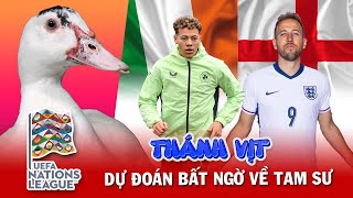 Thánh Vịt dự đoán Anh vs Ireland | Jack 100 củ trở lại | Trực tiếp Nations League hôm nay