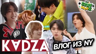 [Русская озвучка Kadza] Влог Stray Kids из Нью-Йорка | STAY week