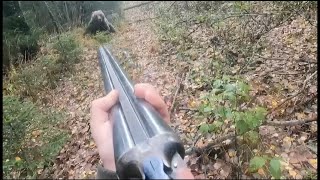 💥 Встреча с МЕДВЕДЕМ в лесу... ( bear attacks russian man )