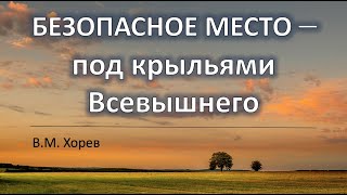 Безопасное место - под крыльями Всевышнего. (Москва, 29.03.2020)