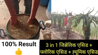 Dragon fruit farming के लिए 3 in 1 जिब्रेलिक एसिड + फ्लोरिक एसिड + ह्यूमिक एसिड कैसे बनाएं |