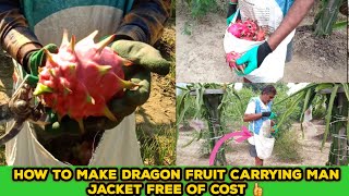 How to Make Dragon Fruit Carrying Man Jacket Free of Cost| Best Solution for Dragon Fruit Harvesting