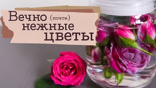 Японское колдовство - пробую стабилизацию цветов | Masherisha