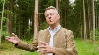 Wie können wir den Wald für die Zukunft rüsten?