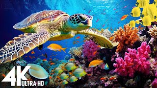 Under Red Sea 4K - Beautiful Coral Reef Fish in Aquarium, Sea Animals for Relaxation - 4K Video #9