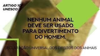 Bem-estar Animal | Direitos dos Animais | Artigo 10º