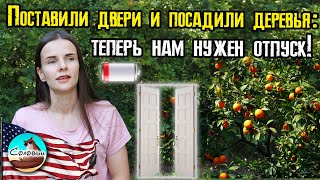 Поставили двери и посадили деревья: теперь нам нужен отпуск!