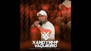 XANDYNHO VAQUEIRO - ROLE