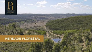 Herdade florestal com 185 hectares em Nisa | REF. 1011