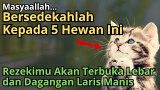 Masyaallah, Bersedekah Kepada 5 Hewan Ini Akan Melancarkan Rezeki dan Melariskan Daganganmu