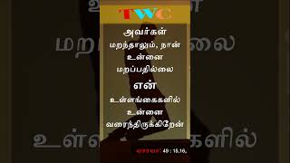 today bible verse tamil #tamibibleverse #bible #motivation #quotes #tamil