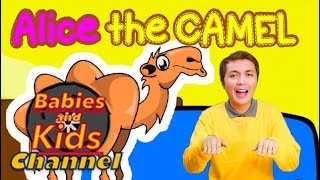 Alice the Camel with Actions | Babies and Kids Channel | Nursery Rhymes for children and toddlers