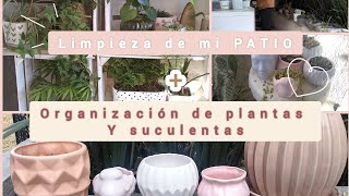 🔸Limpieza de mi patio + Organización de plantas y sucuelentas | Macetas nuevas😍 |