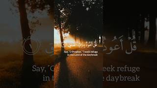 surah Falaq beautiful Quran recitation #trending #beautiful #viral #quran #shorts