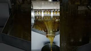 6YL-195 screw oil press machine to press mustard oil and rapeseeds oil