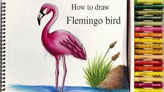 How to draw a Flemingo bird | oil pastels| beginners