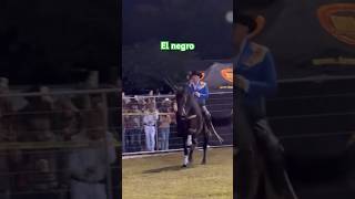 Caballos de clase #viral #youtubeshorts #caballos