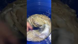 ✨Masa para Tamales✨