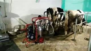 Melasty Milk Machine | 2 Cow 40 Litre SS Bucket | 1 HP Electric | Buy Now www.hopeagrotech.com