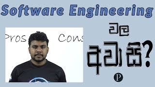 Cons in Software Engineering | Software Engineering වල අවාසි | Sinhala