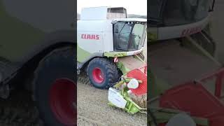 Claas Lexion 620 im Weizen 2024 #claas #farming #getreide #agriculture #landwirtschaft