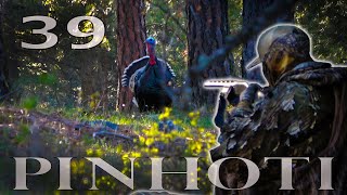 DOWN the BARREL TURKEY HUNTING | TWO NATIONAL FOREST MERRIAMS GOBBLERS -Pinhoti 2022