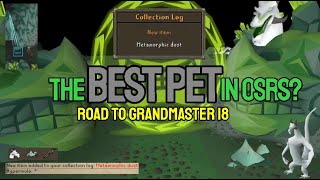 Road to GRANDMASTER | EPISODE 18 I GOT THE METAMORPHIC DUST!!!!!