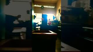 #storykopiku #penjualkopi #viralvideo