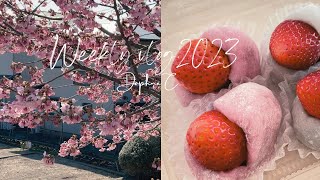 Weekly diary 🍠 FEB | spring break | husband cook during weekend | romaine lettuce recipe 🥬