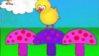 Little Chick de BabyTV Jardín