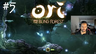 Ori And The BLIND Forest Playthrough Part 5