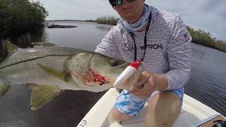 Fishing the Everglades