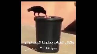 سبحان الله