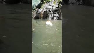 Hulugan Falls, Luisiana Laguna Philippines 🇵🇭 #asmr #nature