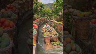 negara penghasil mangga terbesar di dunia #shorts #closertv #vidioviral