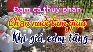 Đạm cá thủy phân | Chăn nuôi làm giàu| ☎️0372225255