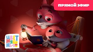 🥱🎶Цветняшки - Колыбельные: Папа рядом -  Прямой Эфир - Песенки для сна🎶🥱