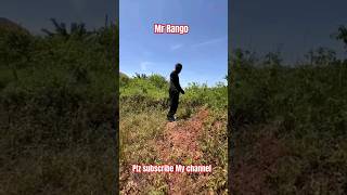 Mr Rango||Tenge Tenge||Funny #funny