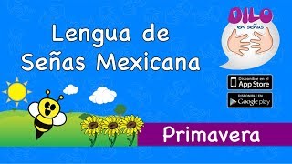 Video Tutorial Primavera