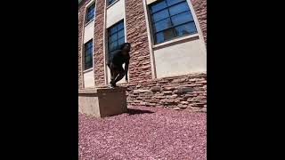 Best Parkour #parkour #shorts (1)