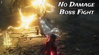 Elden Ring DLC - Death Knight No Damage (Parry Build)