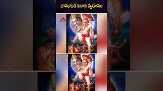 వామనుడి విరాట స్వరూపం #telugufacts #factsintelugu #unknownfacts #fact #dailyfacts #ytshorts #telugu