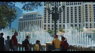 Viva Las Vegas - With Trips Inc. Special Adventures®