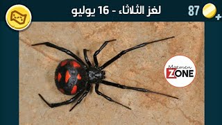 كلمات كراش الثلاثاء 16 يوليو 2024