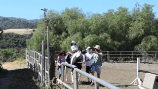 Mr. Carson Ranch May 2014 p.8