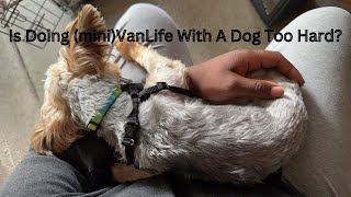 Is doing (mini)VanLife With A Dog Too Hard?