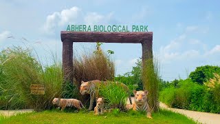 Abhera Biological park kota|| kota zooअभेडा बयोलोजिकल पार्क कोटा mini vlogs