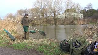 Quest for a Big Stour Roach - Part 2 - Boxing Day