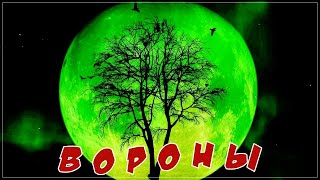 ВОРОНЫ - ШИКАРНЫЙ ШАНСОН