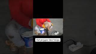 alat pengupas sabut kelapa #pengupassabutkelapa #kelapa  @NiuNiagaraII